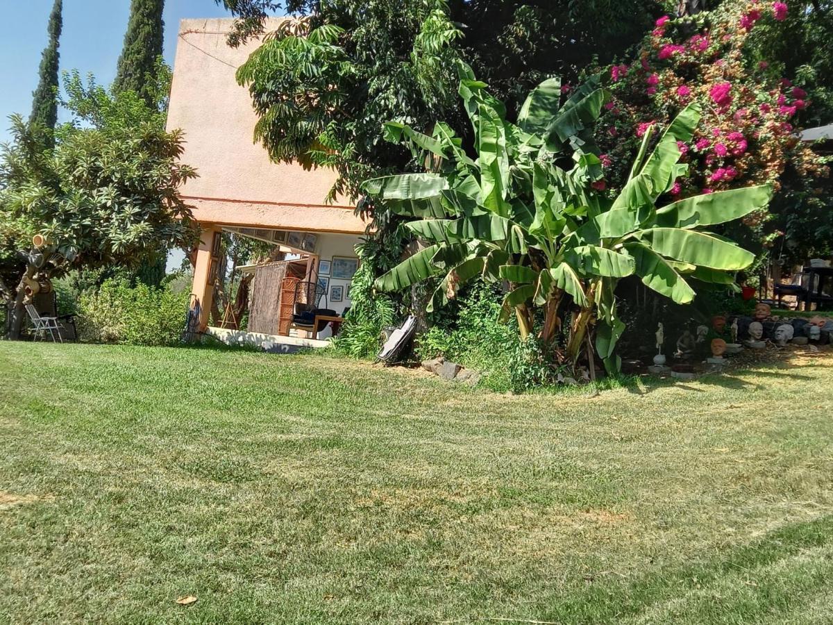 צימר בודד בגליל העליון Kefar Szold Exterior photo